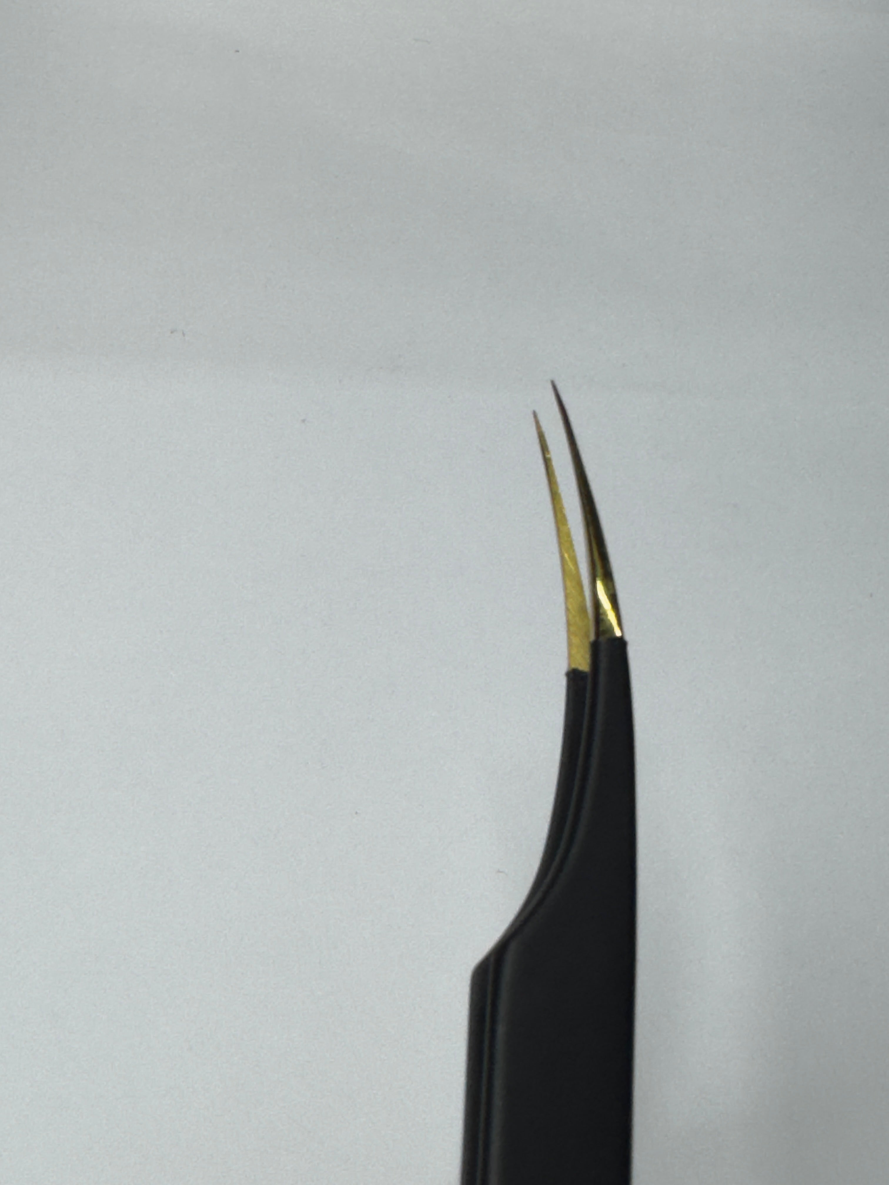 Pinza No. 01 Adhère Ultra Fine