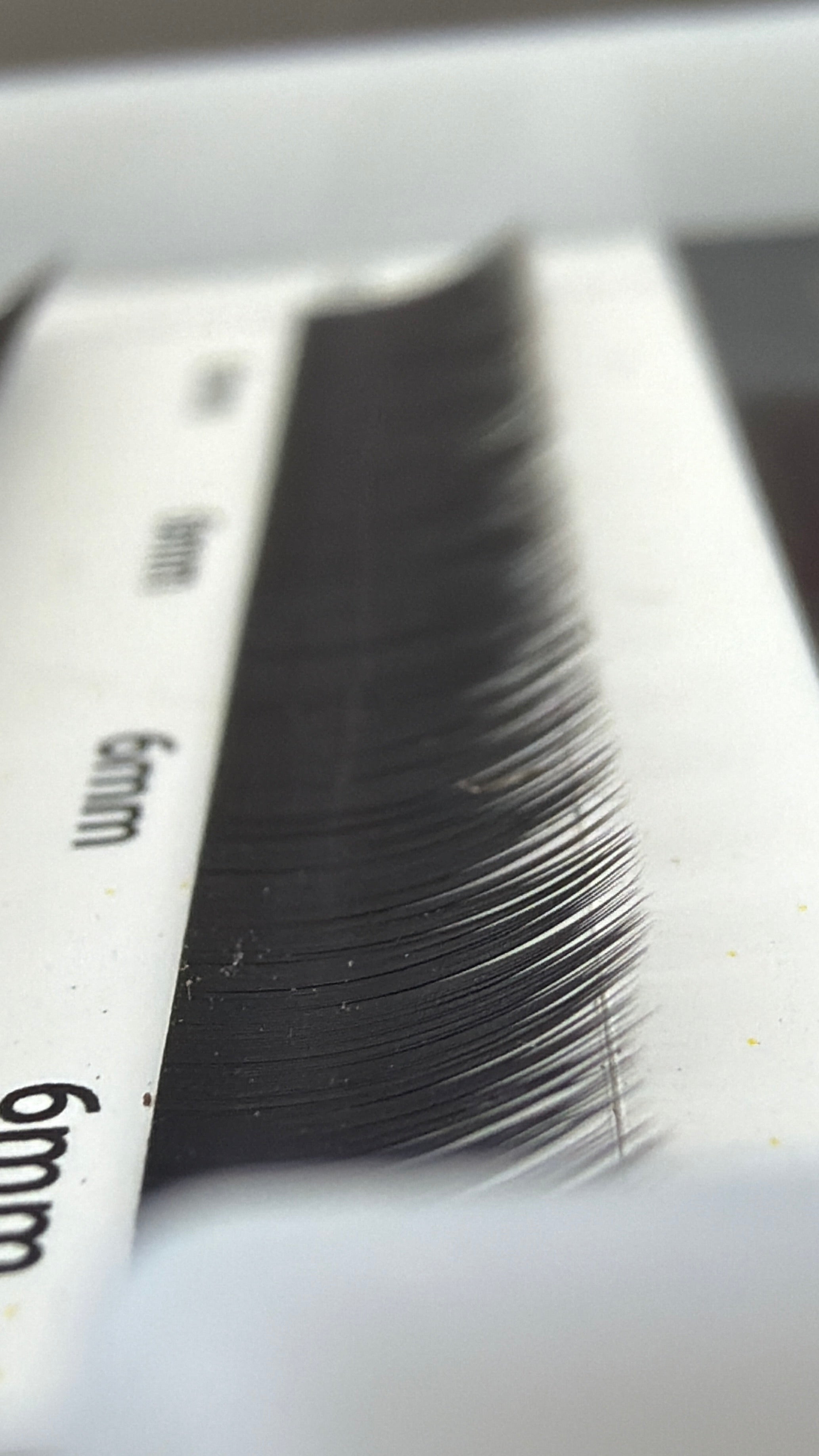 Bottom Lashes