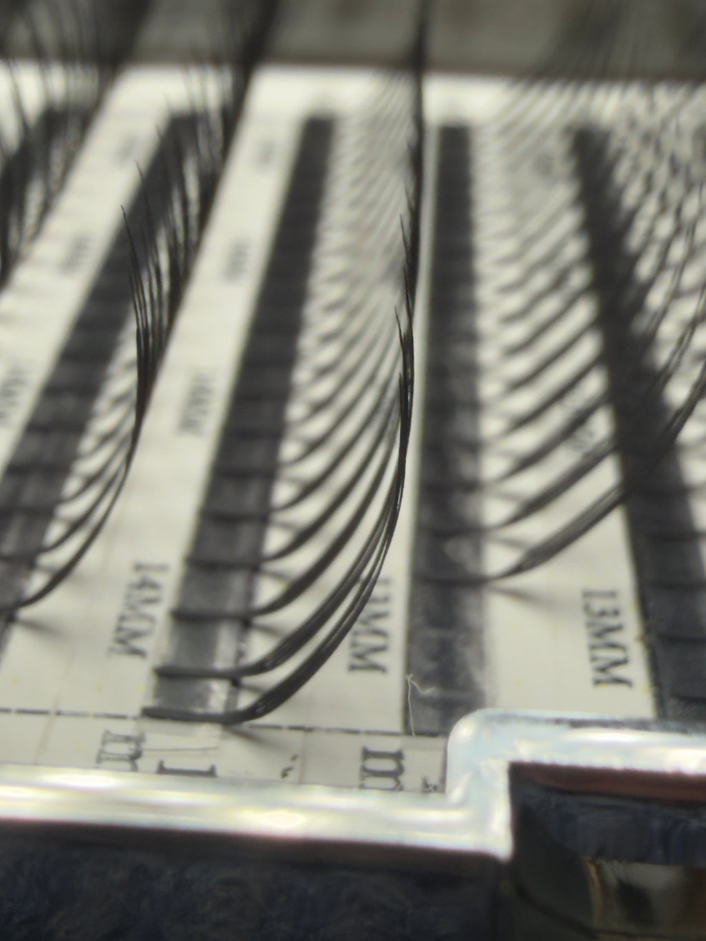 Spire Narrow Lashes