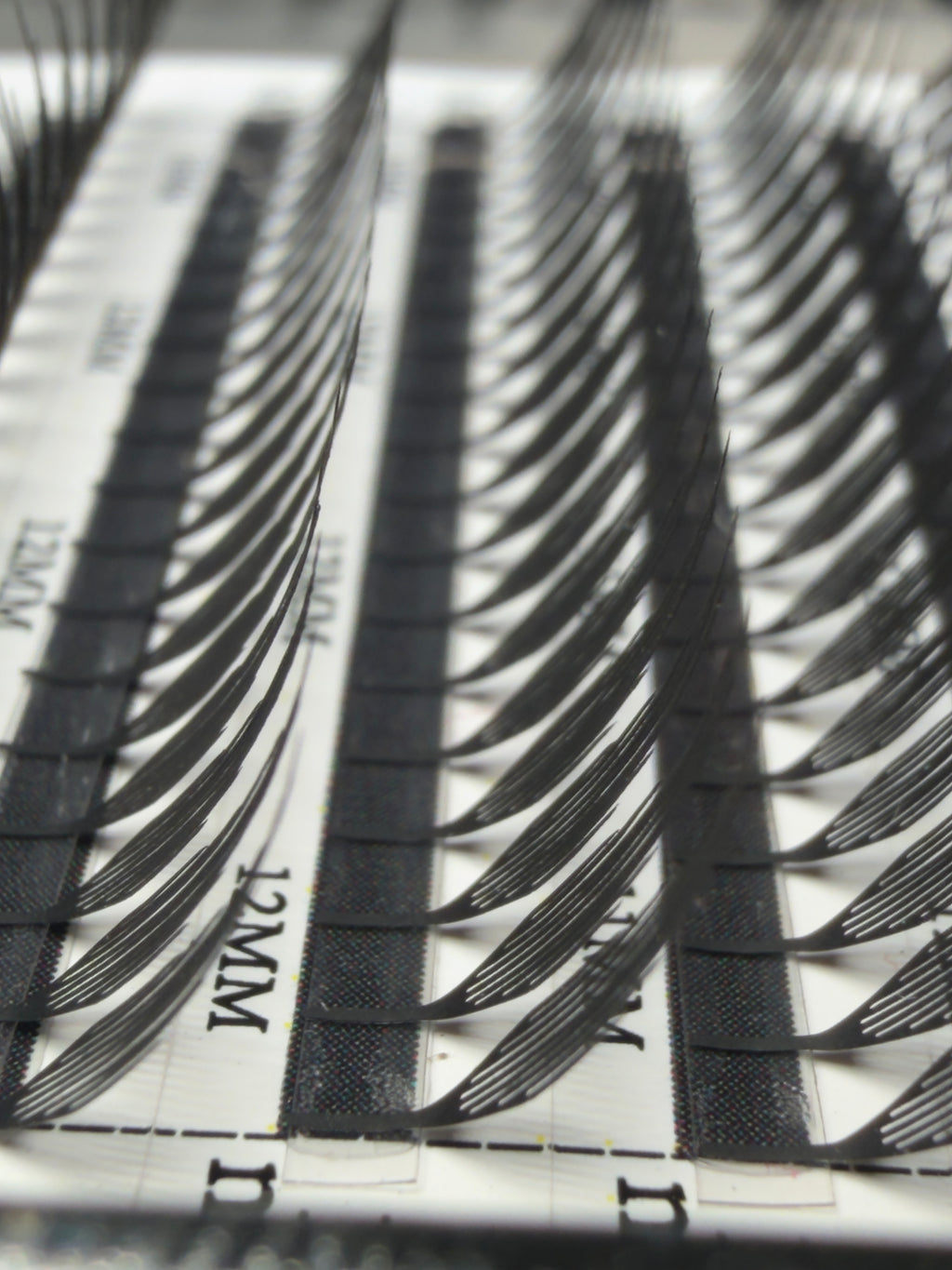 Spire Lashes